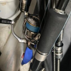 朝マズメのカマス調査