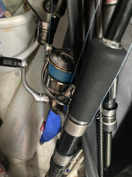 朝マズメのカマス調査