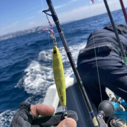 旬のグレジギング!