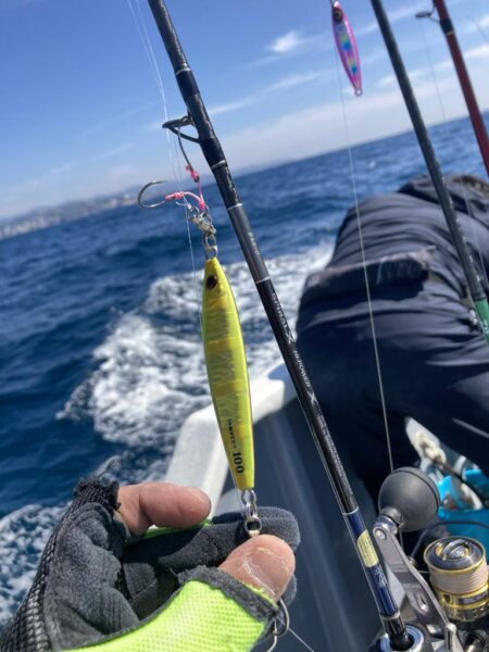 旬のグレジギング!