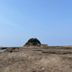 エギングのはずがヤエン