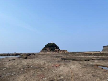 エギングのはずがヤエン