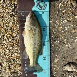 プリスポーン⁉️