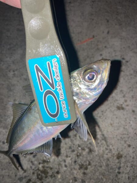 シーバスロッドでフロートアジング