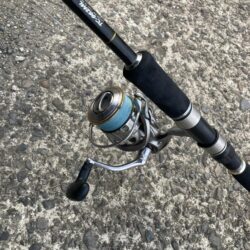 朝マズメのカマス釣りで20匹GET