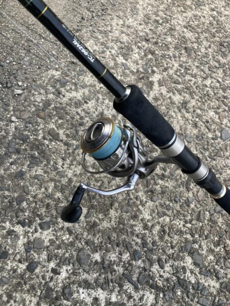 朝マズメのカマス釣りで20匹GET