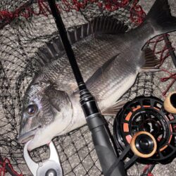 ヘチってきました