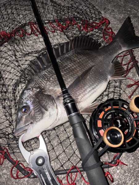 ヘチってきました