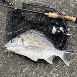 3月13日15時チニング