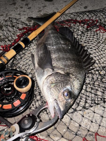 ヘチってきました