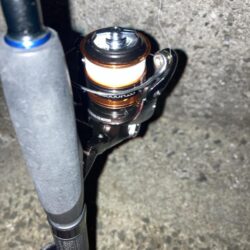 夕マズメのライトワインドでガシラ10匹GET