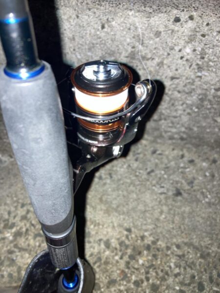 夕マズメのライトワインドでガシラ10匹GET