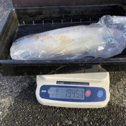 2キロアップ⁉️