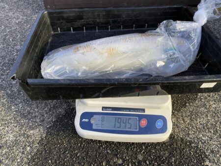 2キロアップ⁉️