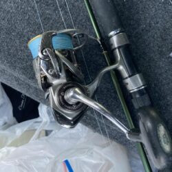 朝マズメのカマス釣りで8匹GET