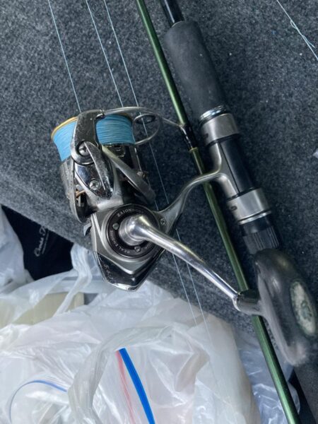 朝マズメのカマス釣りで8匹GET