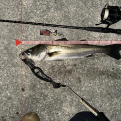 アミパターン攻略？！