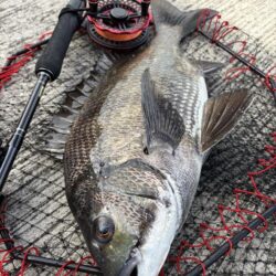 ヘチってきました