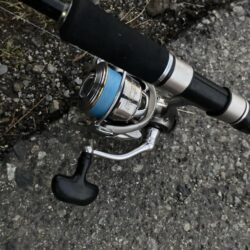 朝マズメのカマス調査