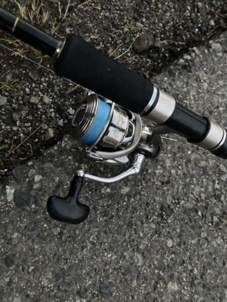 朝マズメのカマス調査