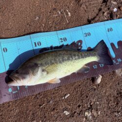 プリスポーン⁉️