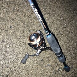 朝マズメのジグ単アジング