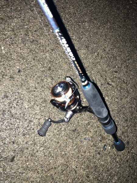 朝マズメのジグ単アジング