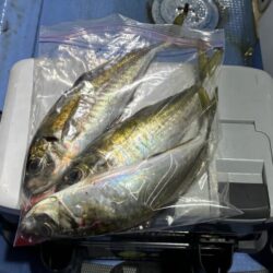 鳥取港近海デカアジサビキ釣り｜今回も激渋！…