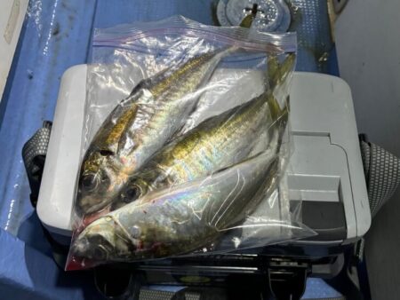 鳥取港近海デカアジサビキ釣り｜今回も激渋！…