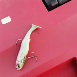 今年の初釣り(^^)