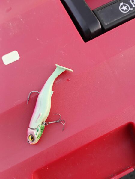 今年の初釣り(^^)