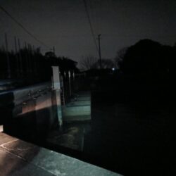 久しぶりのシーバス