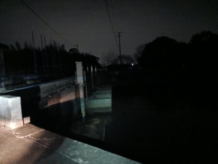 久しぶりのシーバス