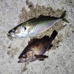 少数精鋭でした