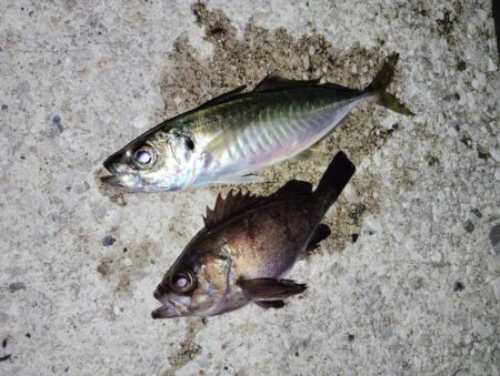 少数精鋭でした