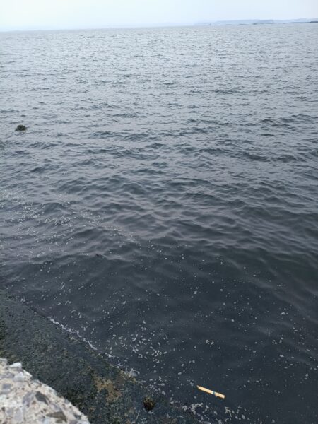 フィッシュイーター不在につき