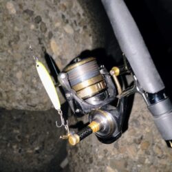 冷たい強風の中⋯