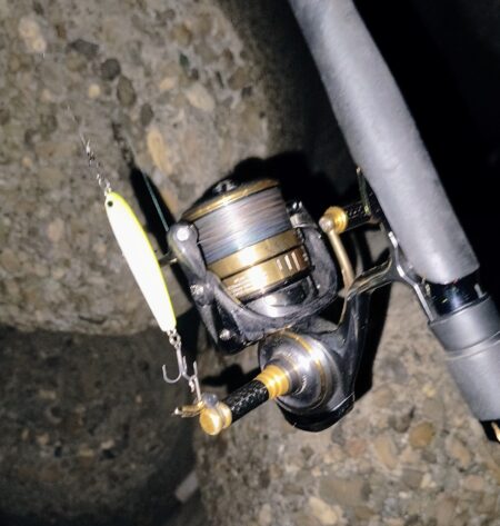 冷たい強風の中⋯