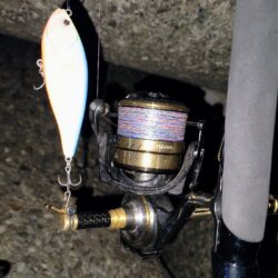 もうちょっと風が弱まって欲しい所