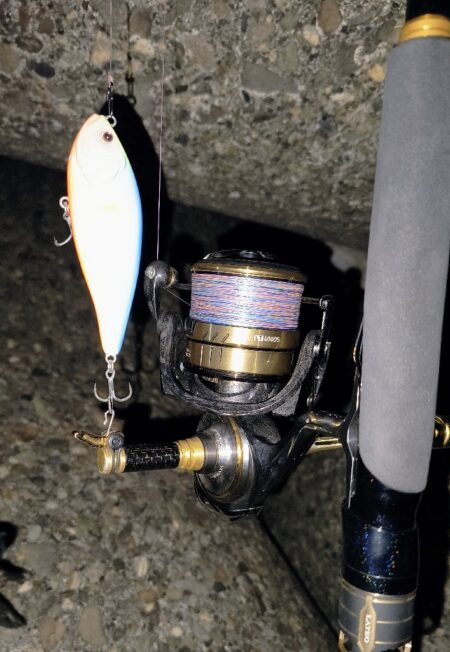 もうちょっと風が弱まって欲しい所