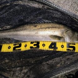 ダウンクロスで狙うのが◎