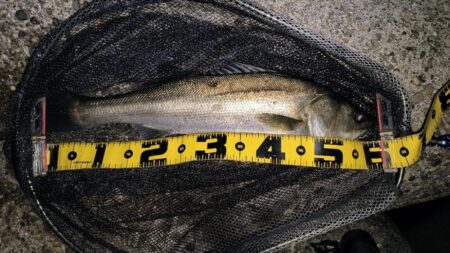 ダウンクロスで狙うのが◎