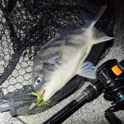 よなよなチニング