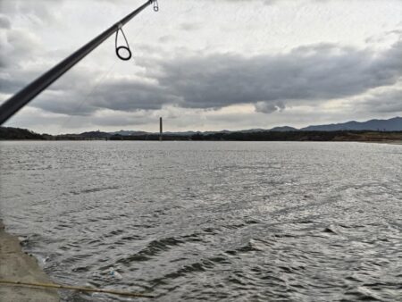メッキが釣れました!