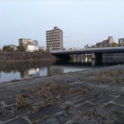 都市型河川でマゴチが釣れました!