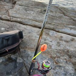 和歌山市江（吉丸渡船）でグレ釣り