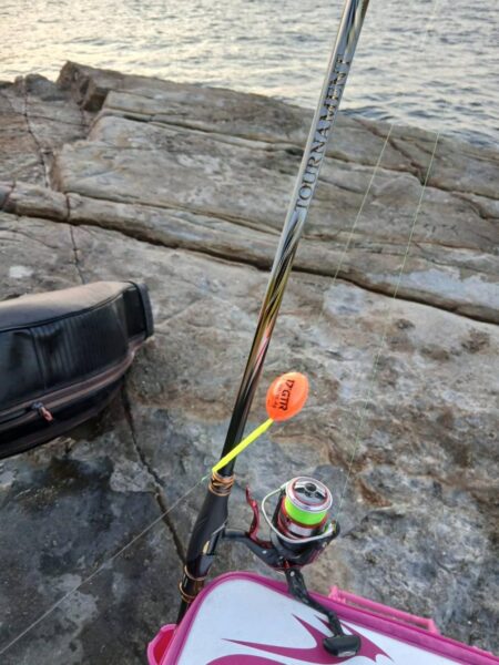 和歌山市江（吉丸渡船）でグレ釣り