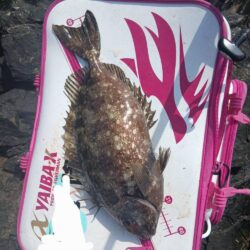 和歌山県串本で磯釣りトーナメント