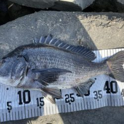 イチノ兄弟、釣果！