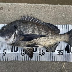 イチノ兄弟、釣果!